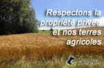 agricol
