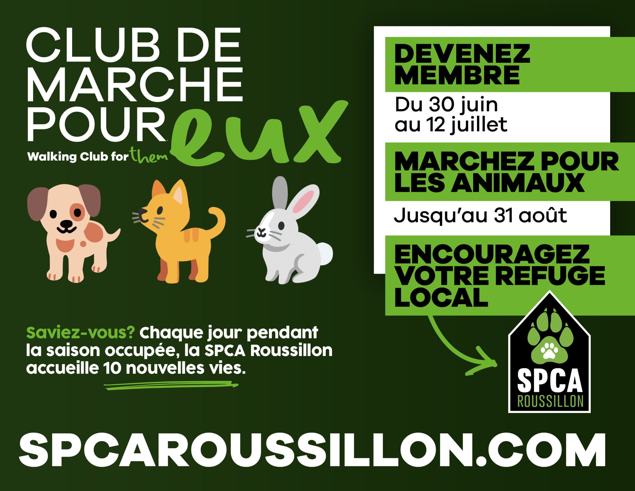 affiche-marche-web
