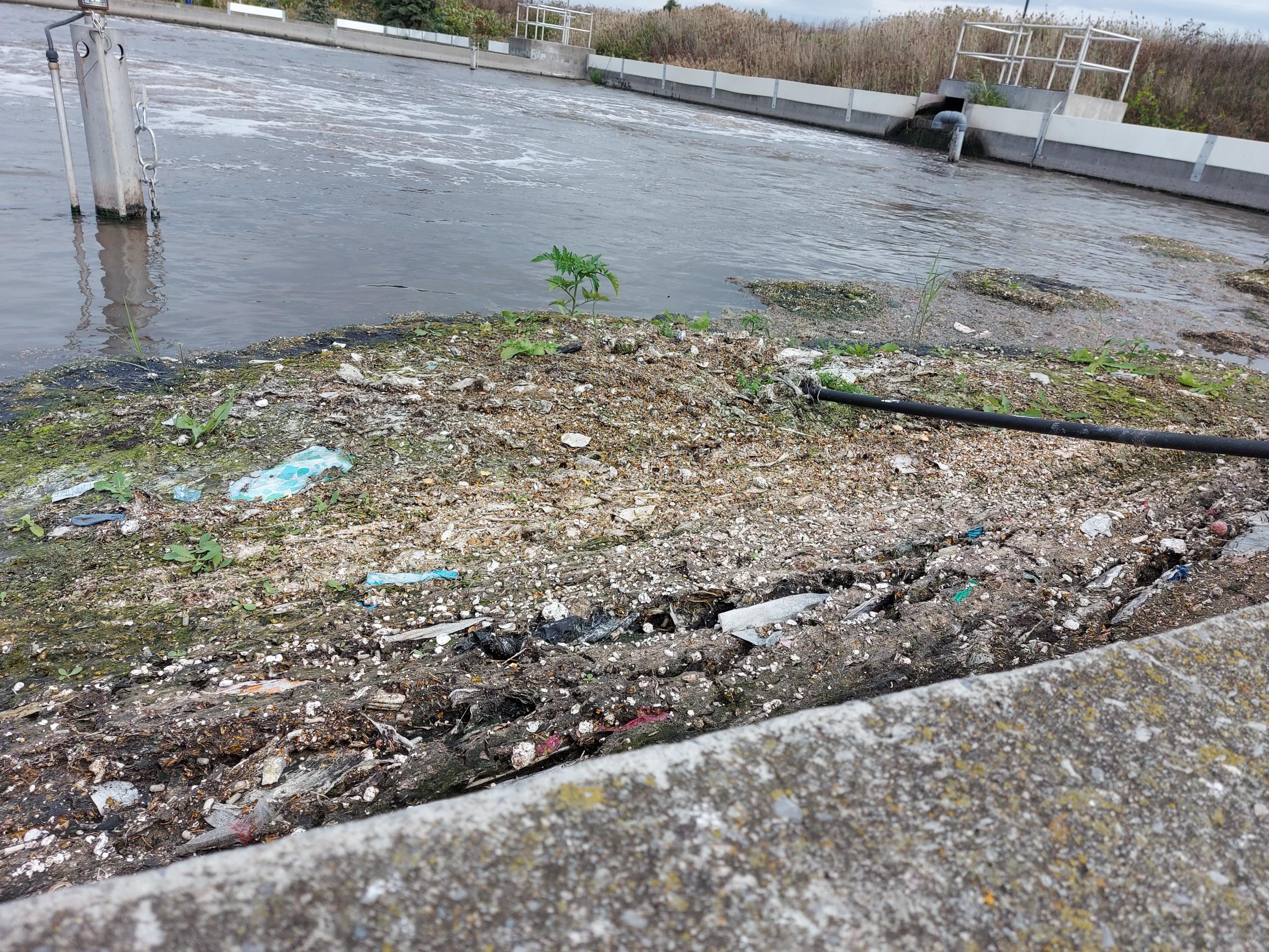 Usine étang déchet