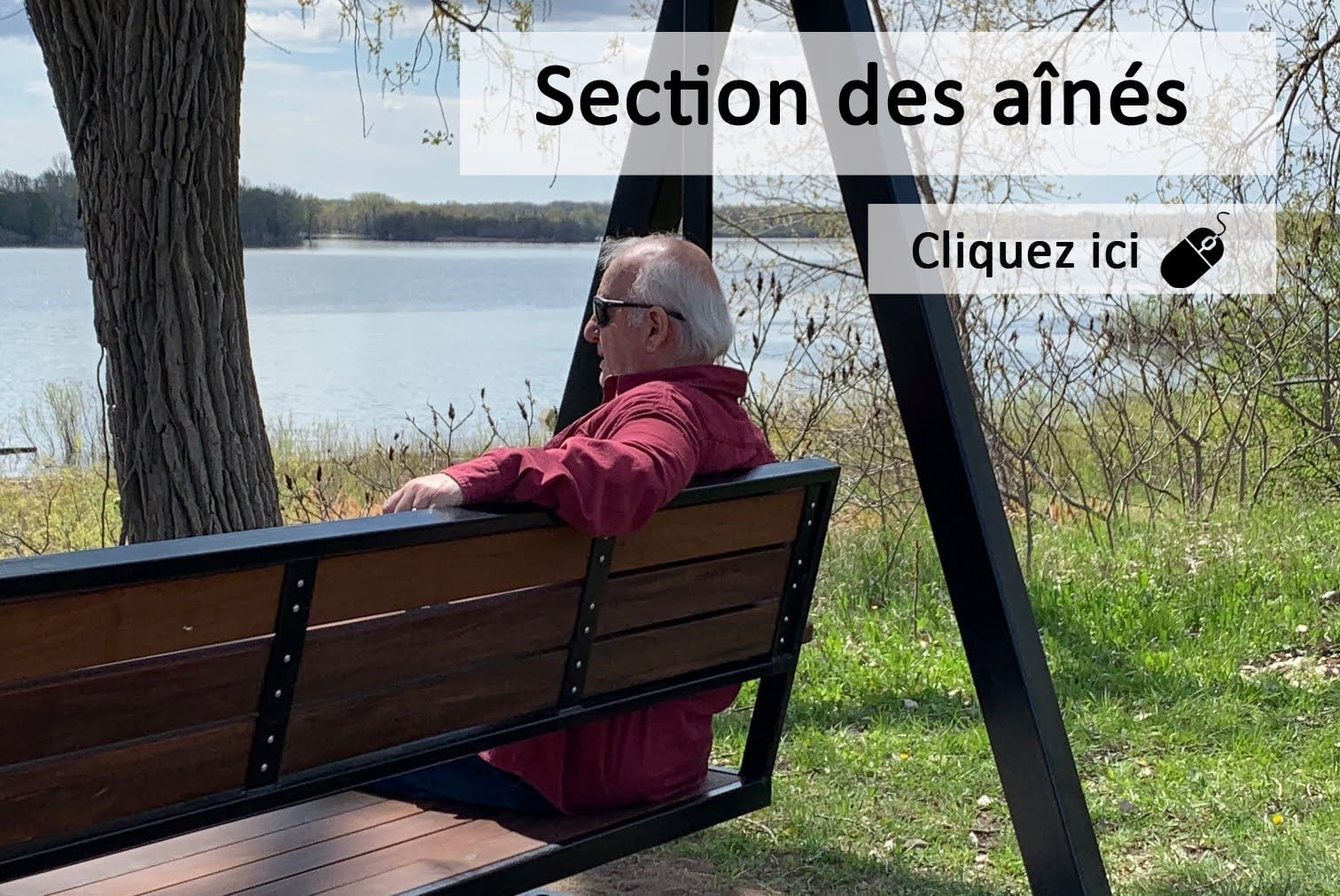 Section aînés