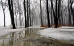 pluie inondation